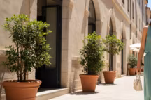 Découvrez 5 pièces tendance en vert pistache à porter cet été