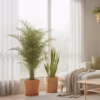 Découvrez 10 plantes d’intérieur qui absorbent l’humidité facilement